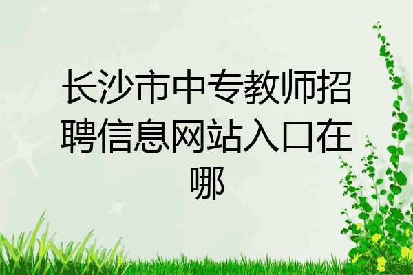 长沙市中专教师招聘信息网站入口在哪