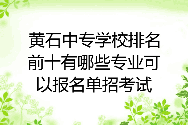 黄石中专学校排名前十有哪些专业可以报名单招考试