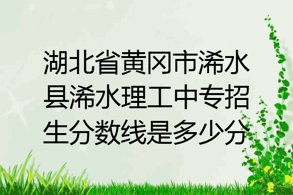 湖北省黄冈市浠水县浠水理工中专招生分数线是多少分