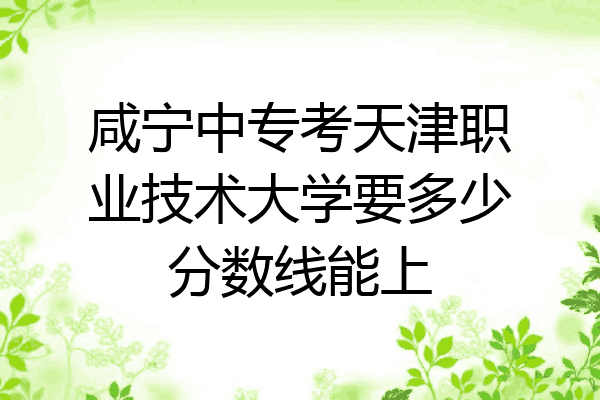 咸宁中专考天津职业技术大学要多少分数线能上