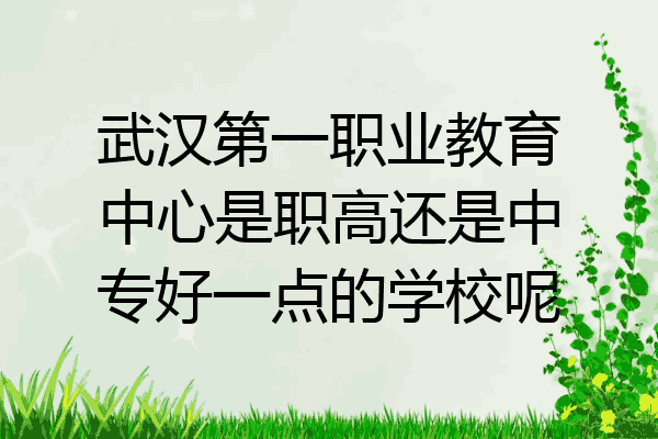 武汉第一职业教育中心是职高还是中专好一点的学校呢
