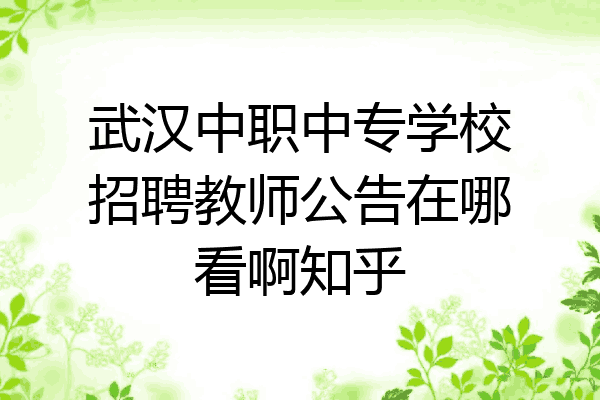 武汉中职中专学校招聘教师公告在哪看啊知乎