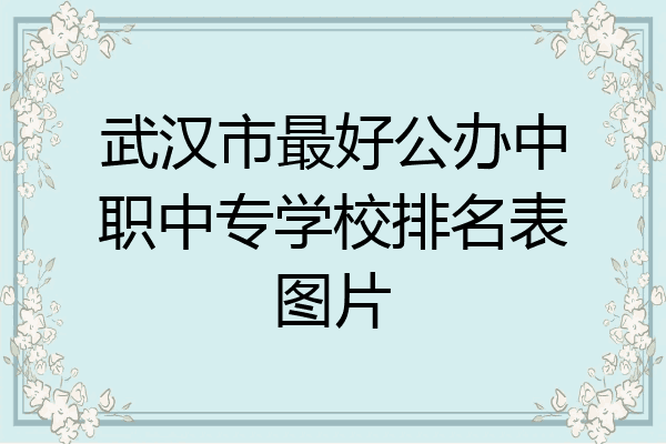 武汉市最好公办中职中专学校排名表图片