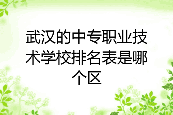 武汉的中专职业技术学校排名表是哪个区