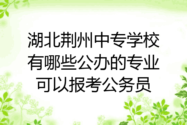 湖北荆州中专学校有哪些公办的专业可以报考公务员