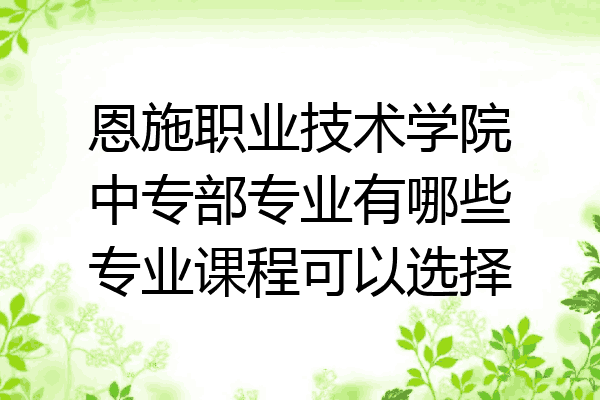 恩施职业技术学院中专部专业有哪些专业课程可以选择