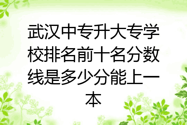 武汉中专升大专学校排名前十名分数线是多少分能上一本