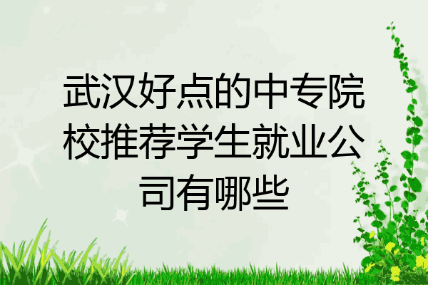 武汉好点的中专院校推荐学生就业公司有哪些