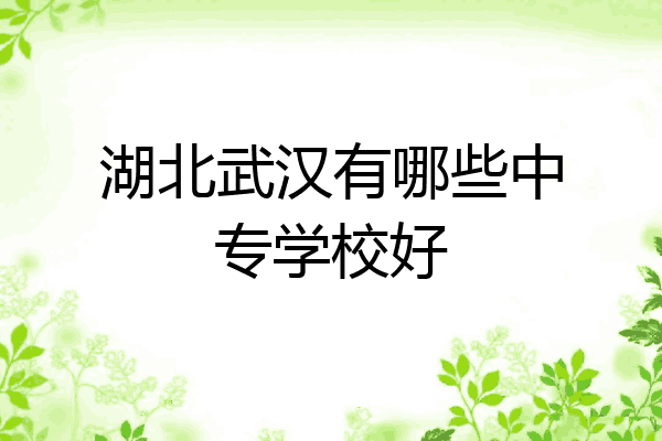 湖北武汉有哪些中专学校好