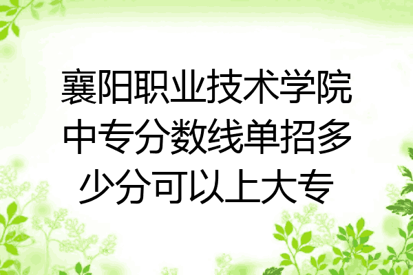 襄阳职业技术学院中专分数线单招多少分可以上大专