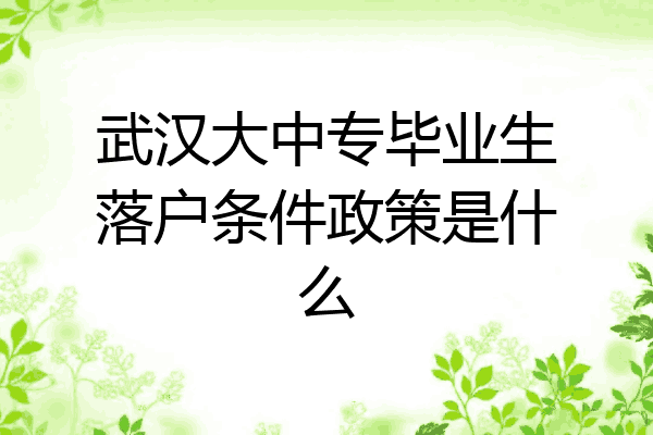 武汉大中专毕业生落户条件政策是什么