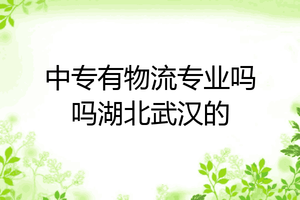 中专有物流专业吗吗湖北武汉的
