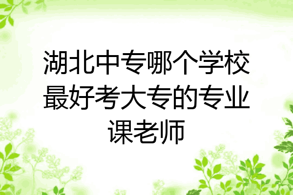 湖北中专哪个学校最好考大专的专业课老师
