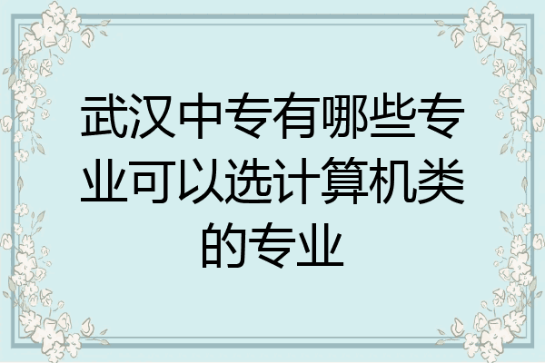 武汉中专有哪些专业可以选计算机类的专业