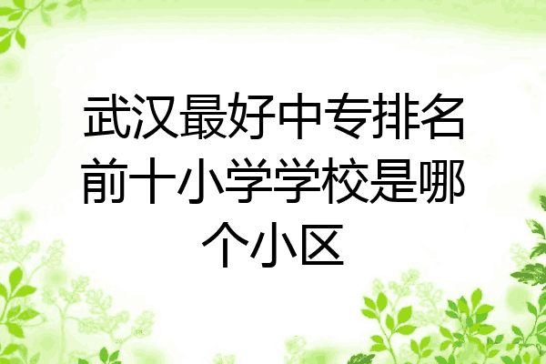 武汉最好中专排名前十小学学校是哪个小区