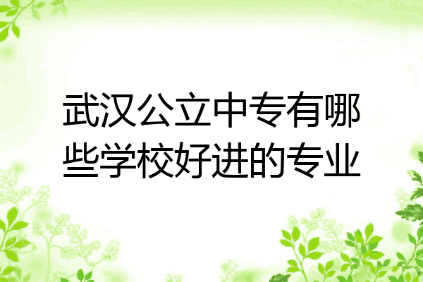 武汉公立中专有哪些学校好进的专业