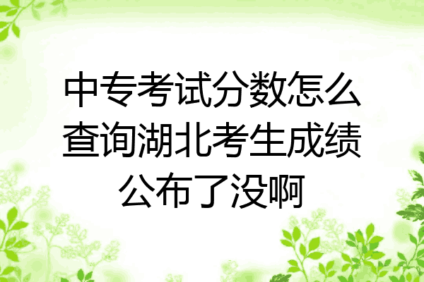 中专考试分数怎么查询湖北考生成绩公布了没啊
