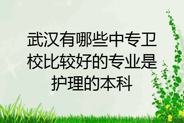 武汉有哪些中专卫校比较好的专业是护理的本科