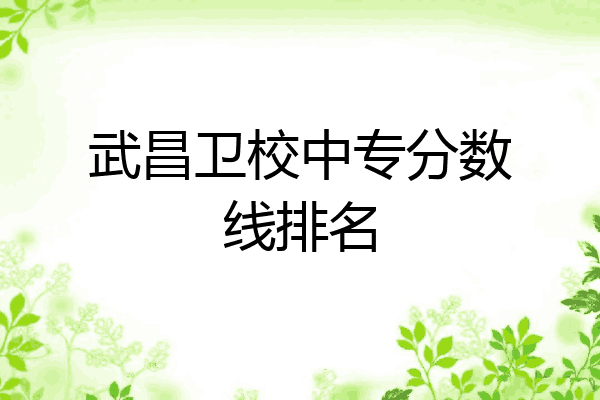 武昌卫校中专分数线排名