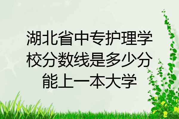 湖北省中专护理学校分数线是多少分能上一本大学