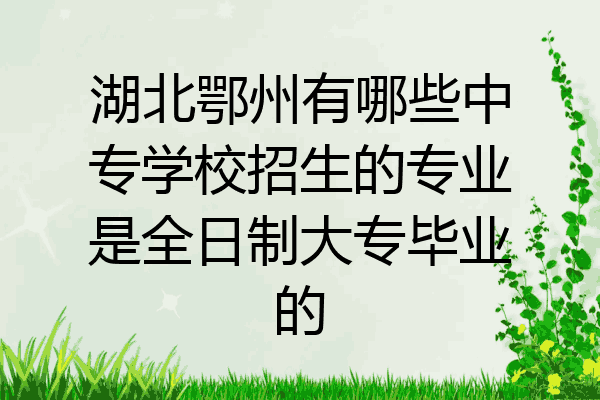 湖北鄂州有哪些中专学校招生的专业是全日制大专毕业的