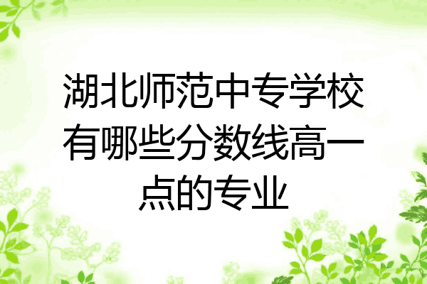 湖北师范中专学校有哪些分数线高一点的专业