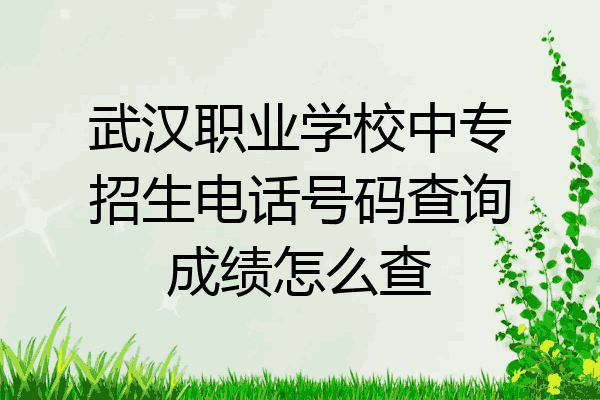 武汉职业学校中专招生电话号码查询成绩怎么查