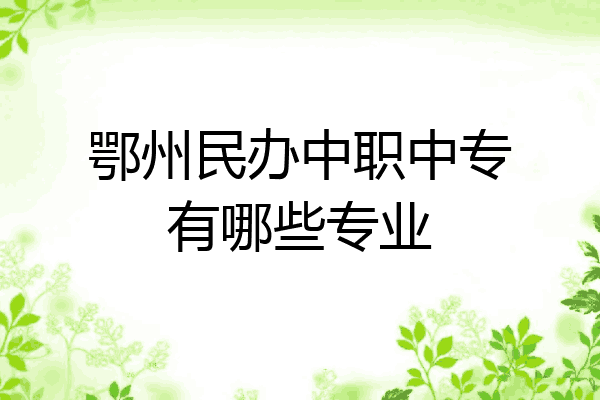 鄂州民办中职中专有哪些专业