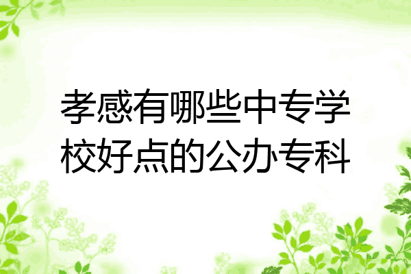 孝感有哪些中专学校好点的公办专科