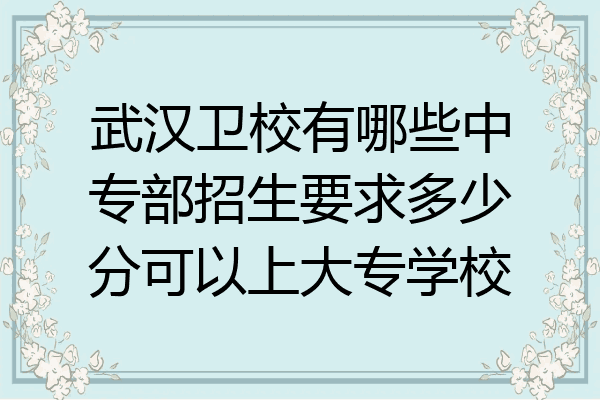 武汉卫校有哪些中专部招生要求多少分可以上大专学校