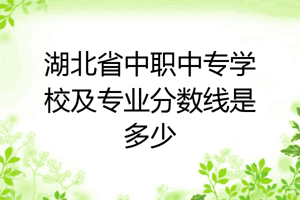 湖北省中职中专学校及专业分数线是多少