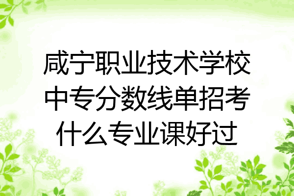 咸宁职业技术学校中专分数线单招考什么专业课好过
