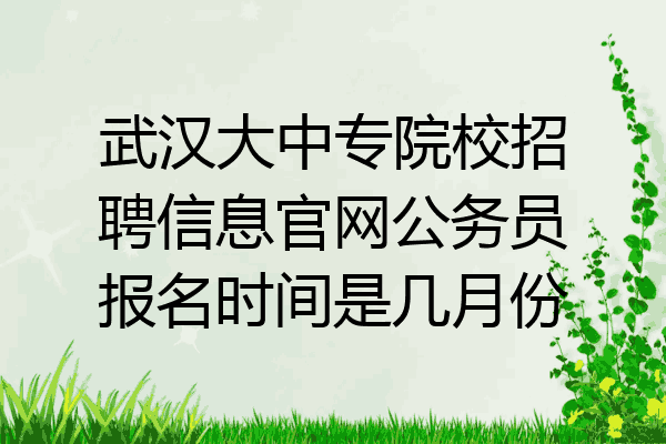 武汉大中专院校招聘信息官网公务员报名时间是几月份