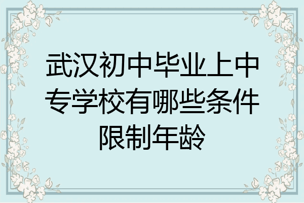 武汉初中毕业上中专学校有哪些条件限制年龄