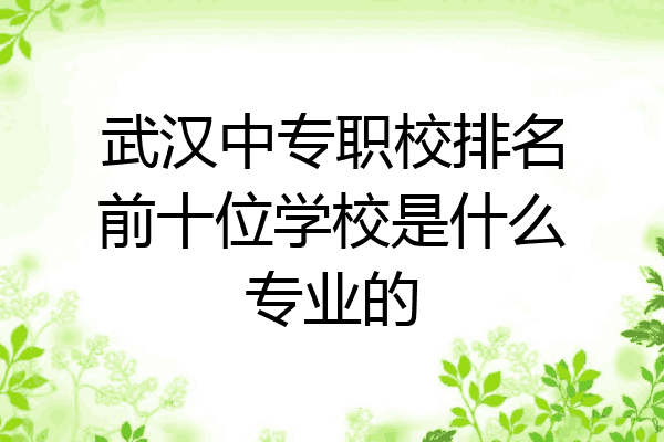 武汉中专职校排名前十位学校是什么专业的