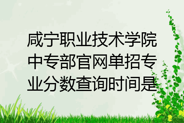 咸宁职业技术学院中专部官网单招专业分数查询时间是