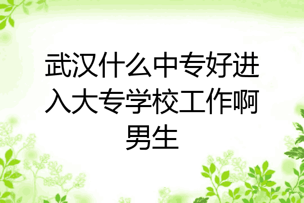 武汉什么中专好进入大专学校工作啊男生