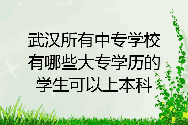 武汉所有中专学校有哪些大专学历的学生可以上本科