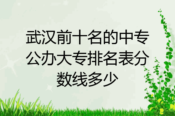 武汉前十名的中专公办大专排名表分数线多少