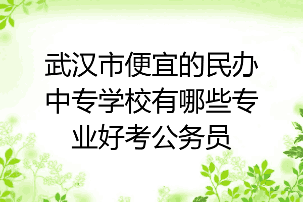 武汉市便宜的民办中专学校有哪些专业好考公务员