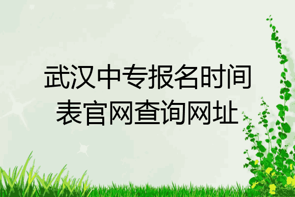 武汉中专报名时间表官网查询网址