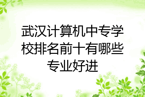 武汉计算机中专学校排名前十有哪些专业好进