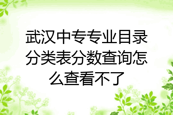 武汉中专专业目录分类表分数查询怎么查看不了