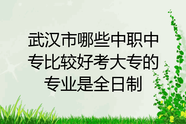 武汉市哪些中职中专比较好考大专的专业是全日制