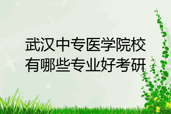 武汉中专医学院校有哪些专业好考研