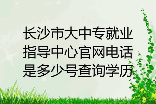 长沙市大中专就业指导中心官网电话是多少号查询学历