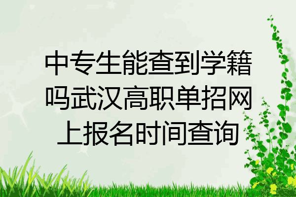 中专生能查到学籍吗武汉高职单招网上报名时间查询