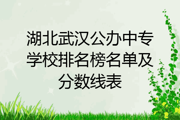 湖北武汉公办中专学校排名榜名单及分数线表