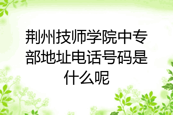 荆州技师学院中专部地址电话号码是什么呢