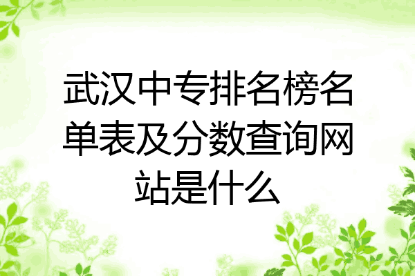武汉中专排名榜名单表及分数查询网站是什么
